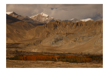 UPPER MUSTANG TREK