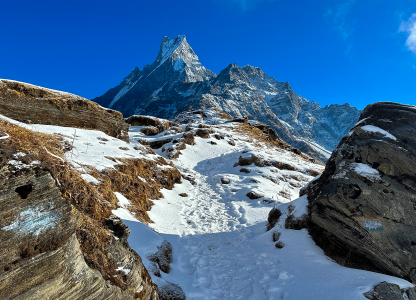 Mardi Himal Base Camp!