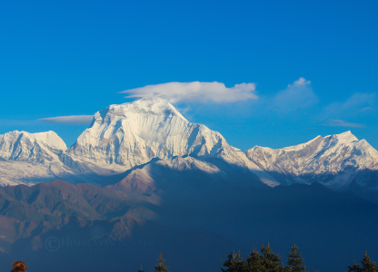 Dhaulagiri Circuit!